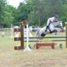 Bor és laskafesztivál - II