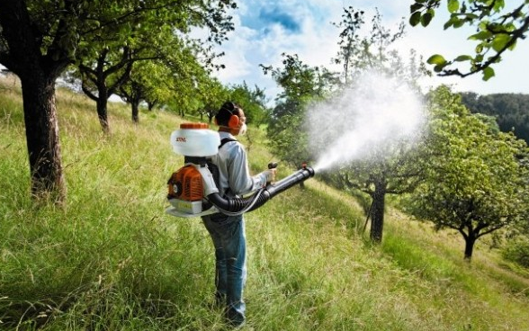 Kártevőírtás Cegléden