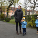 Megérkezett a város karácsonyfája