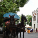 Múzeumok Éjszakája