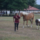 A lovak nyelvén – Hamza Viktória