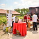 Nyitott Pince Napok - Kökény és Fia Családi Borászat