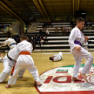 Jótékonysági gála