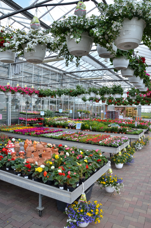 Oázis Kertészeti Áruház