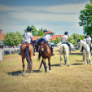 II. Ceglédi Vágta - kísérő rendezvények