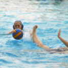 Ceglédi Vasutas Sport Egyesület - HVSC (Hódmezővásárhely) 11 - 6