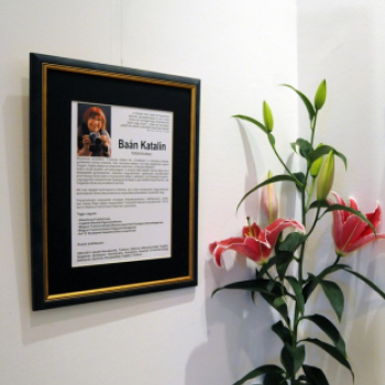 ,,Tudom e mérni a mérhetetlent’’