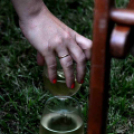 Mini jazz fesztivál ceglédi szereplőkkel