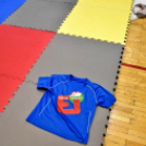 Idén is népszerű volt a Testébresztő Fesztivál Cegléden