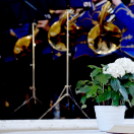 Hangverseny virágvasárnapon