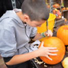 Családi tökfaragás az Oázis Kertészetben