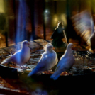 Jójárt György kiállítása a Gimiben