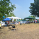 Bor és laskafesztivál - I