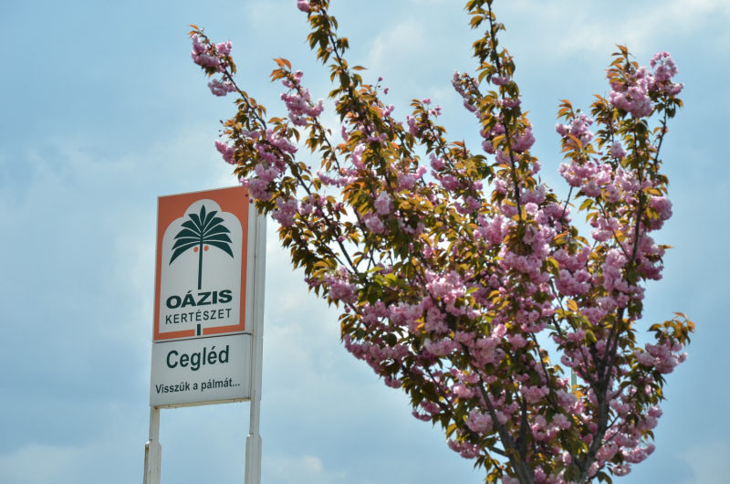 Oázis Kertészeti Áruház