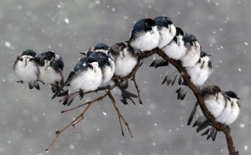 Márciusi tél után itt az áprilisi havazás