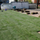 Füvesítik a strandot