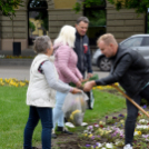 Ments meg egy árvácskát!