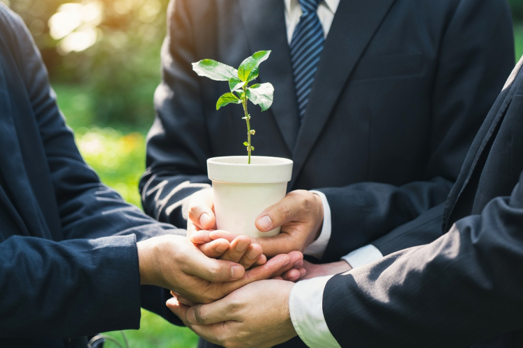 A bizalmi vagyonkezelés gyakorlati buktatói és jogi kockázatai