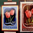 Füle Mihály grafikus, festőművész kiállítása