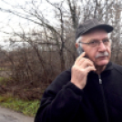 Megérkezett a város karácsonyfája