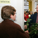 Városi nőnap - fotó: Szokolai Attila 