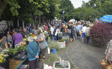 Kitelepült a zöldségpiac