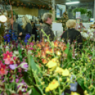 Orchideák éjszakája az Oázis kertészetben