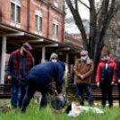 Két új magnóliafát ültettek