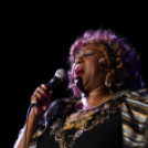 21. Dobos Gála -fotó: Kisfaludi István