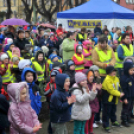 Pest Megyei Futó- és Gyaloglónap