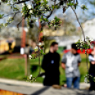 Katasztrófavédelmi verseny Cegléden