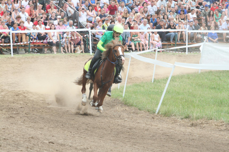IX. Bor és Laskafesztivál - IV. Ceglédi Vágta