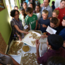 II. Gyermek Zenei Fesztivál