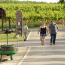 Nyitott Pince Napok - Kökény és Fia Családi Borászat