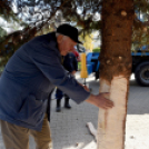 Karácsonyi készülődés a Szabadság téren