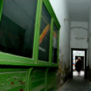 Bálintné Szilvási Ágnes fényképész utolsó munkanapja