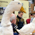 Pályaválasztási kiállítás