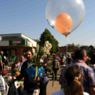 Csemői - Anyám tyúkja