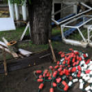 Városi Strandfürdő - Tereprendezés I.