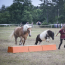 A lovak nyelvén – Hamza Viktória