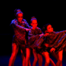 Tánc világnapja Cegléden