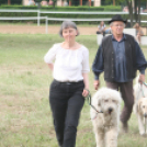 IX. Bor és Laskafesztivál - IV. Ceglédi Vágta