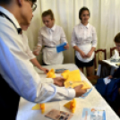 Szakmafesztivál Cegléden kicsiknek és nagyoknak