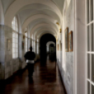 Pedagógus kamarai tájékozataó