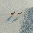 MAFOSZ kiállítás képei