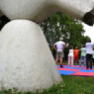 Szépkorúak Sportfesztiválja