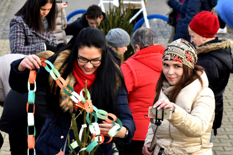 Karácsonyfa díszítő verseny