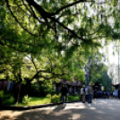 Nemzetközi Jazz Nap