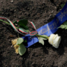 Koszorúzás a köztemetőben - Március 15.