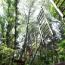 Református nevelőszülők találkoztak Cegléden